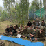 Поисковый отряд «Кавказ» завершил двухнедельную экспедицию в Смоленской области - Минмолодежи
