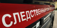 В Костромской области подросток подозревается в покушении на незаконный сбыт наркотических средств - Следственное управление
