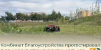 Комбинат благоустройства протестировал гусеничную газонокосилку-мульчер - Балаковские вести
