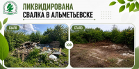 В Альметьевске ликвидирована свалка площадью более 300 квадратных метров - Министерство экологии