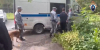 18-летнего ижевчанина задержали за оправдание терроризма в интернете - Сусанин