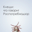 Второй пик активности клещей: о чем нужно помнить? - Роспотребнадзор