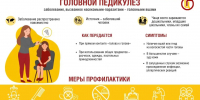 Роспотребнадзор: Педикулез не зависит от образа жизни и соблюдения гигиены - Online47.Ru