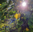 От выпечки откажись, старую одежду не надевай, не пей и не спорь со старшими: приметы на 27 августа - КТВ-ЛУЧ
