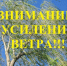 Фото из сети Интернет. - Лешуконский муниципальный округ