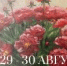 Музейные выходные: 29 - 30 августа 2026 - Историко-архитектурный и художественный музей-заповедник