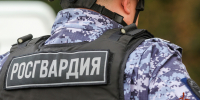 Росгвардейцы задержали предполагаемую виновницу хищения мяса с подменой ценников (ВИДЕО) - Росгвардия