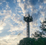 Городской парк на озере Ладное в Кинеле накрыли сетью 4G - Комсомольская Правда Самара