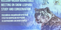 Наука без границ: эксперты двух стран обсудили сохранение снежного барса - Хакасское отделение РГО