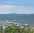 Мурманск присоединился к федеральной программе «Добрые города» - Мурманский вестник