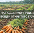 Министерство сельского хозяйства и продовольствия ЛНР объявляет о начале приема заявок на субсидирование на производство картофеля и овощей открытого грунта - Администрация города Свердловска и Свердловского района