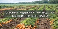 Министерство сельского хозяйства и продовольствия ЛНР объявляет о начале приема заявок на субсидирование на производство картофеля и овощей открытого грунта - Администрация города Свердловска и Свердловского района