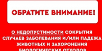 Внимание!!!. - Городское поселение Рабочий поселок Искателей
