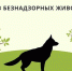 Итоги отлова безнадзорных животных - Кадыйский район