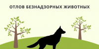 Итоги отлова безнадзорных животных - Кадыйский район