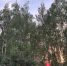 CmTjhAsL002FSNmearnlzzzPRqsmtlkf3NZ38Jh8EB0Zp3p4XnCZz3SyfkO5CqR0OpUTzIcjnv1l9Os_HfEdlplM - Рязанские ведомости