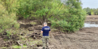В водоёме в Катайске нашли тело девочки - Новый мир