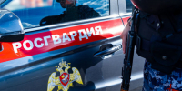 Росгвардейцы задержали подозреваемого в нанесении ножевого ранения работнику хостела в Подмосковье (видео) - Росгвардия