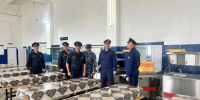 Фото: https://epp.genproc.gov.ru - Penza-Post.Ru