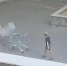 Полиция Краснодара ищет подростков, устроивших погром в микрорайоне - Югополис