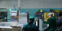 Волгоградский производитель зерновых продуктов увеличил объем экспорта в 4 раза - Газета Волгоградская правда
