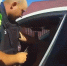 Сотрудники ГАИ устроят облаву 27 августа на любителей тонировки в Брянске - БрянскToday.Ru