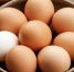 Мыть яйца бесполезно: технолог назвала реальный способ защититься от сальмонеллы - ИА Общественная служба новостей