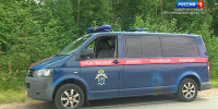 Подростков, избивших мужчину в Удельном парке, заключили под стражу - ГТРК Санкт-Петербург