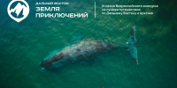 О Камчатке сняли 37 фильмов для конкурса «Дальний Восток – Земля приключений». . Фотография 1 - ИА Камчатка
