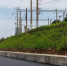 wsosdv7plun0tz7aayymzwsldfmim65a.jpg - Primorye24.Ru