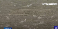 Снова дожди с грозами: когда ждать улучшения погоды в Приморье? - ГТРК Владивосток