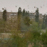 В Саратовской области дождь и до +27 градусов - SaratovNews.Ru