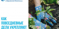 Как домашние дела укрепляют здоровье - КГБУЗ ККЦМП