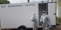 В двух округах Ярославской области ввели карантин по бешенству - YarNews.Ru