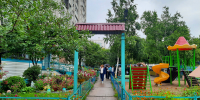 В Хабаровске стартовал городской этап смотра-конкурса «Лучший двор» - Газета Хабаровские вести
