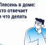 Что делать, если в квартире появилась плесень - Госжилинспекция Камчатского края