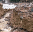 Фото: Kiwisoul/Shutterstock/Fotodom - Ямал-Медиа