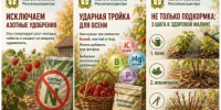 Чем подкормить малину в конце лета, чтобы она пережила зиму и дала сладкий урожай - Калтасинский район