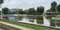 В парке «Изумрудный» провели профилактический рейд по безопасности детей на воде - Администрация г. Барнаул