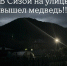 Медведь вышел на улицы Сизой. Хищник полез в огороды - Медиагруппа Юг Сибири