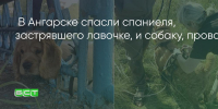 Поделитья во ВКонтакте - Братская Студия Телевидения