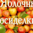 Нажмите для предварительного просмотра изображения - ЦБС г. Канска