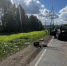 Водитель «Приоры» погиб в ДТП в Удмуртии - Комсомольская Правда
