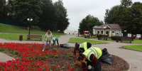 Во Владимире начали пропадать цветы, высаженные ко Дню города - Комсомольская правда