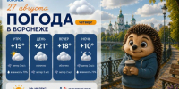 Утепляемся: прогноз погоды в Воронеже - Bloknot-Voronezh.Ru