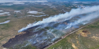 В Губкинском ввели режим повышенной готовности. Причина этого - лесной пожар под Пурпе - Комсомольская Правда