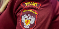 Фото: Александр Чирва/«Ямал-Медиа» - Ямал-Медиа
