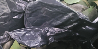 Серебряные волонтеры #Доброта_через_года — ни минуты покоя - Газета Приозерские ведомости