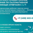 Горячая линия по паллиативной помощи в Подмосковье — на связи 24/7 - Администрация г. Домодедово