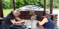 Тесть и зять организовали в Старом Осколе сеть проституточных - Oskol.City